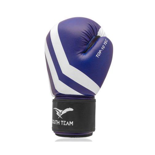 Luvas para Boxe e Muaythai - 14oz - Listrada - Cores - South Team - Image 6