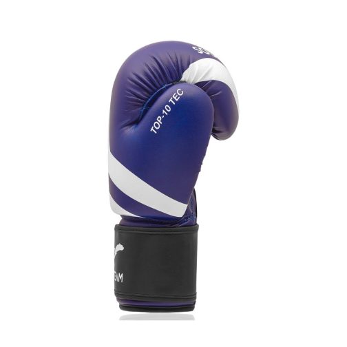 Luvas para Boxe e Muaythai - 14oz - Listrada - Cores - South Team - Image 7