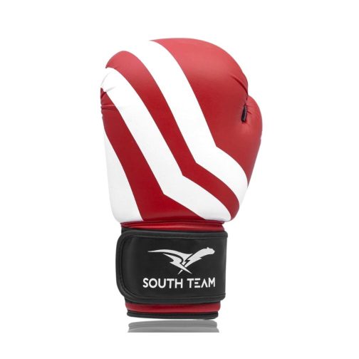 Luvas para Boxe e Muaythai - 14oz - Listrada - Cores - South Team - Image 15